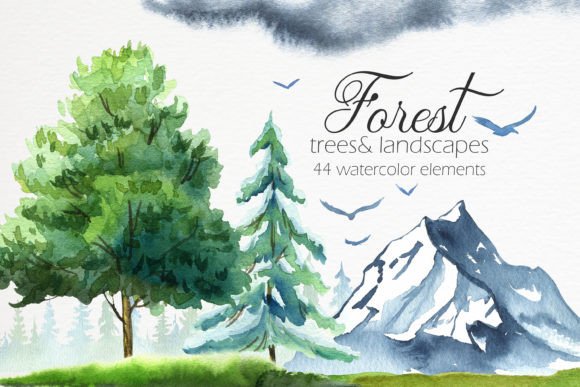 Forest. Watercolor Illustrations: Nature's Palette for Designers