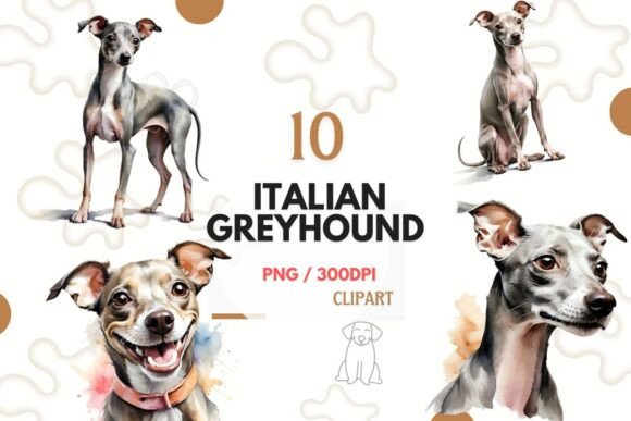 Italian Greyhound PNG Clipart: Watercolor Art for Digital Creators